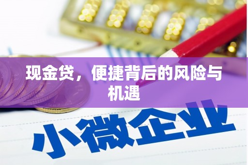 芷江现金贷，便捷背后的风险与机遇