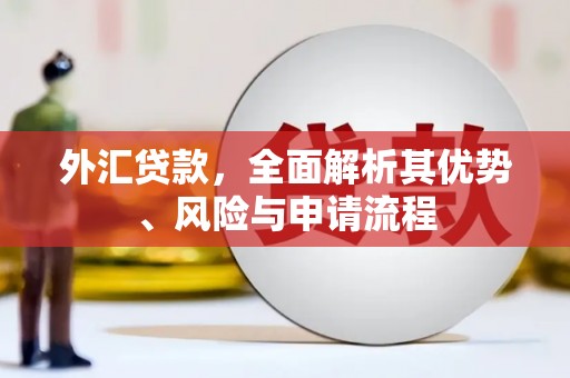 芷江外汇贷款，全面解析其优势、风险与申请流程