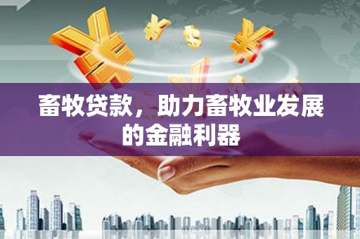 芷江畜牧贷款，助力畜牧业发展的金融利器
