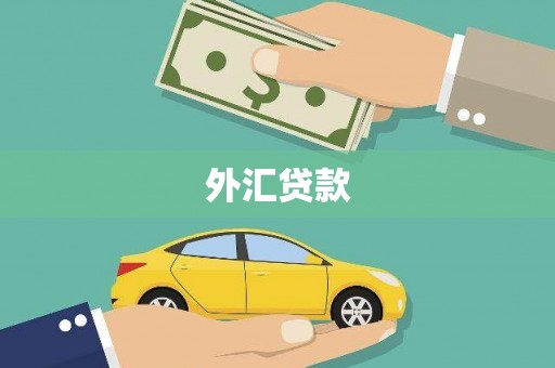 芷江外汇贷款