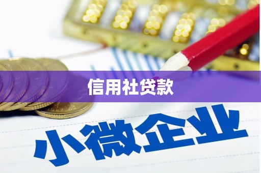 芷江信用社贷款