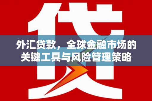 芷江外汇贷款，全球金融市场的关键工具与风险管理策略