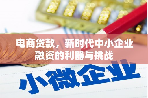 芷江电商贷款，新时代中小企业融资的利器与挑战