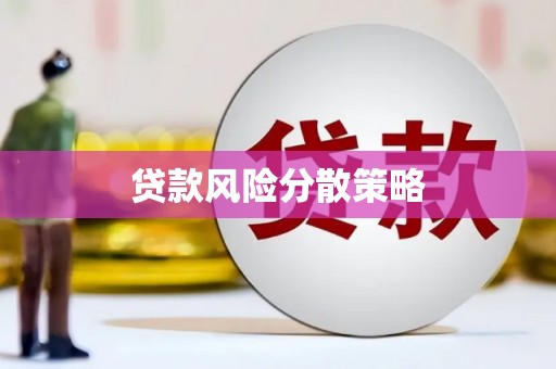 芷江贷款风险分散策略