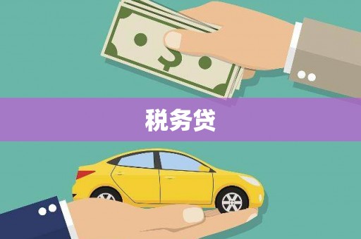 芷江税务贷