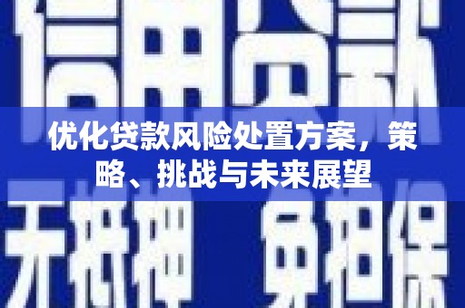 芷江优化贷款风险处置方案，策略、挑战与未来展望