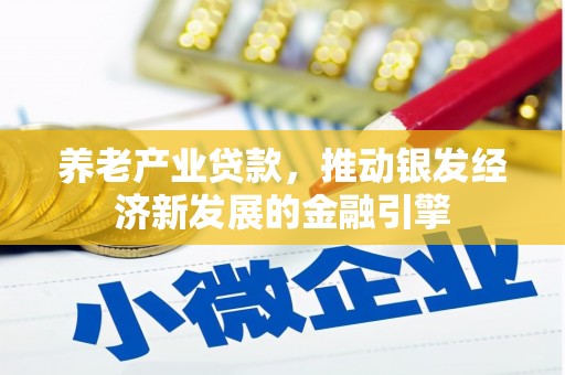 芷江养老产业贷款，推动银发经济新发展的金融引擎