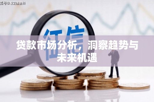 芷江贷款市场分析，洞察趋势与未来机遇