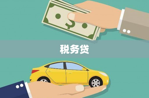 芷江税务贷