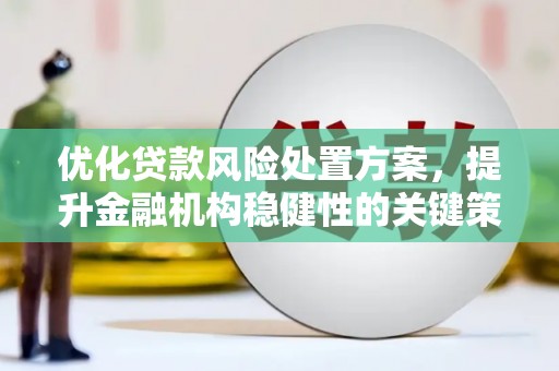 芷江优化贷款风险处置方案，提升金融机构稳健性的关键策略