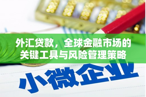 芷江外汇贷款，全球金融市场的关键工具与风险管理策略