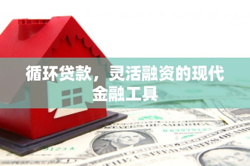 芷江循环贷款，灵活融资的现代金融工具