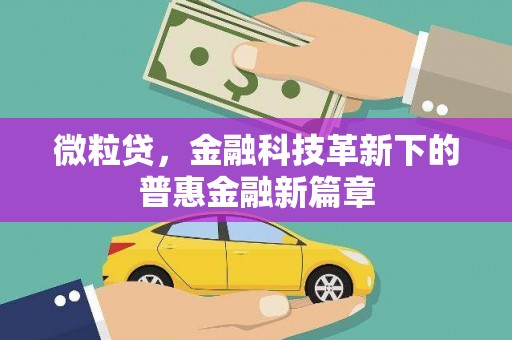 芷江微粒贷，金融科技革新下的普惠金融新篇章