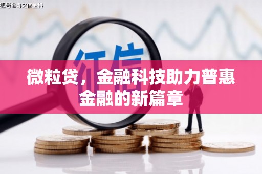芷江微粒贷，金融科技助力普惠金融的新篇章