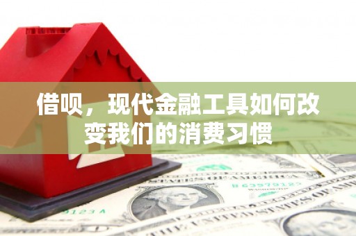 芷江借呗，现代金融工具如何改变我们的消费习惯