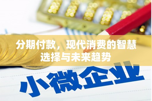 芷江分期付款，现代消费的智慧选择与未来趋势