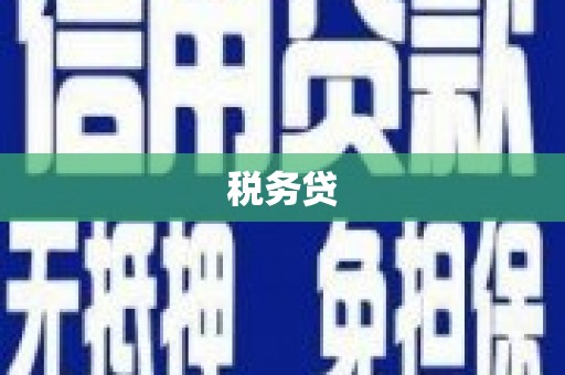 芷江税务贷