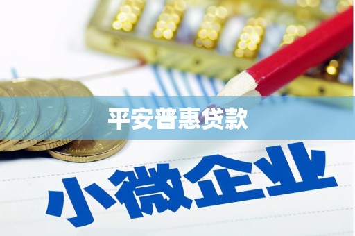 芷江平安普惠贷款