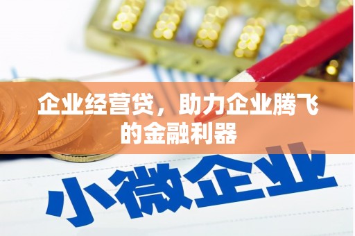 芷江企业经营贷，助力企业腾飞的金融利器