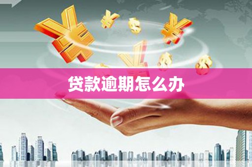 芷江贷款逾期怎么办