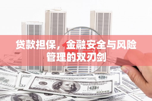 芷江贷款担保，金融安全与风险管理的双刃剑