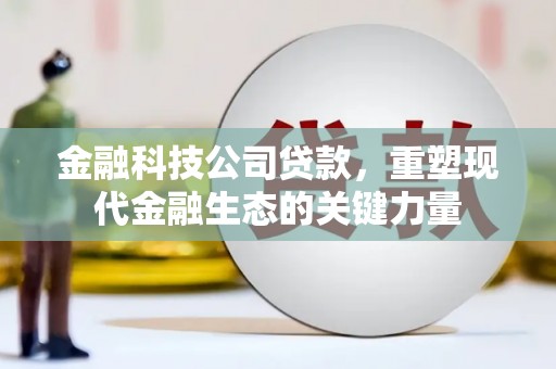 芷江金融科技公司贷款，重塑现代金融生态的关键力量
