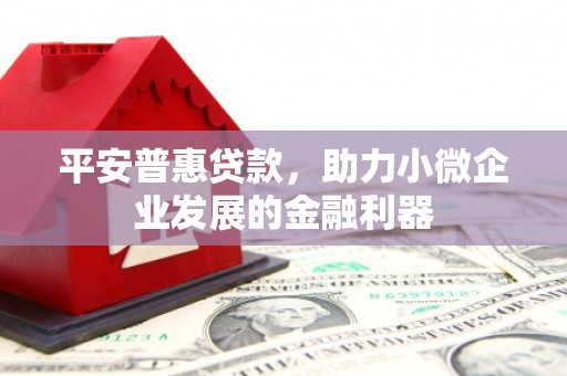 芷江平安普惠贷款，助力小微企业发展的金融利器