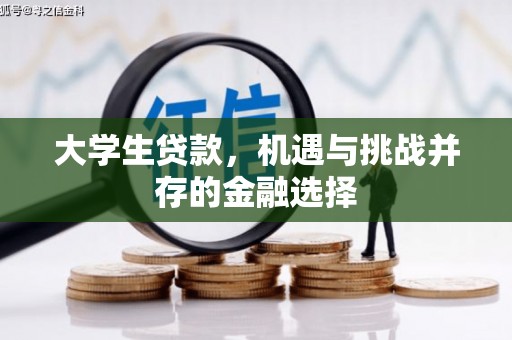 芷江大学生贷款，机遇与挑战并存的金融选择