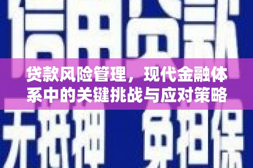 芷江贷款风险管理，现代金融体系中的关键挑战与应对策略