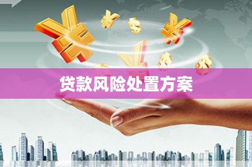 芷江贷款风险处置方案