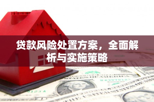 芷江贷款风险处置方案，全面解析与实施策略
